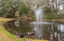 2694 Broad Street, Beaufort, SC 29902