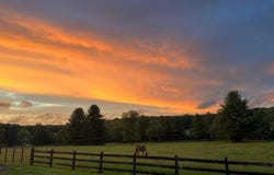 1240 BOY SCOUT ROAD, OAKLAND, MD 21550