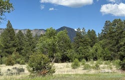 44 PD 1750, Chama, NM 87520