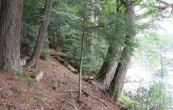 On ARBOR LN, WI 54538