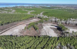 0 Pleasure Point Road, Florien, LA 71429