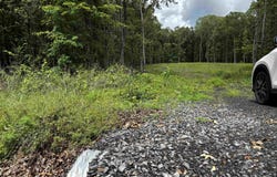 00 Gold Hill Road, Atkins, AR 72823