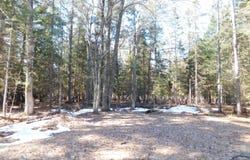 Par 7 Wildwood Lane, Grayling, MI 49738