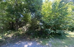 16 Danforth, Canton, MA 02021