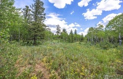 1568 County Road 103, Nederland, CO 80466