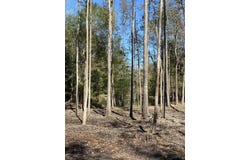 4107 CR 3800, Athens, TX 75752
