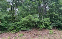 Tbd Antler Point, Hillsville, VA 24343