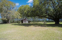 1342 Thomas Hamilton Road, Brunson, SC 29911