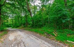 1054 Myers Hill Road, Tracy City, TN 37387