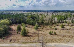 20 Acres Tanner Ridge Rd, Jay, FL 32565