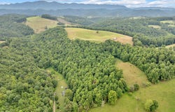 000 Strong Hollow Lane, Fort Blackmore, VA 24250