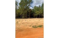 Deer Loop lot: 11, Camden, AL 36726