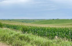 Old Hwy 141, Sergeant Bluff, IA 51054