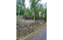 Lot 33 Black Walnut Flats Road, Sevierville, TN 37876