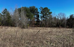 R14353 CR 167, Long Branch, TX 75669