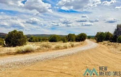 16 Five Gate Road, Pinehill, NM 87357