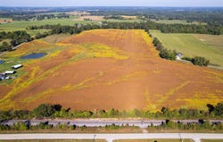 W Clifty Dr, Leitchfield, KY 42754