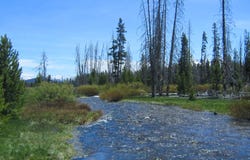 Highway 21 & Cow Camp Rd, Stanley, ID 83278