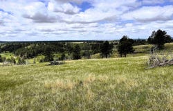 TBD Gruenhagen Road, Moorcroft, WY 82721