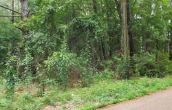 534 11th Street, Mccomb, MS 39648