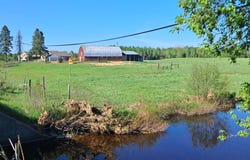 6230 E .5 Road, Bark River, MI 49807