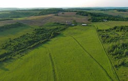 2060 Rietter Hill Road, Westfield, PA 16950