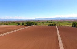 Cedar Road, Delta, CO 81416