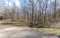 000 Salt Lane, Savannah, TN 38372