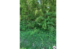 5102 Sanderson Ln, Texarkana, AR 71854