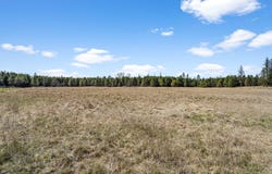40XXX MADISON RD, ELK, WA 99009