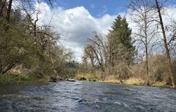 0 Old Railroad Grade RD, Yamhill, OR 97148