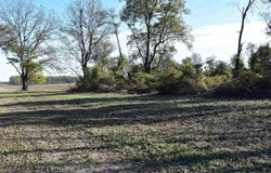 River Road, Crumrod, AR 72328