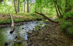 1352 COUNTY ROAD 185, JEMISON, AL 35085