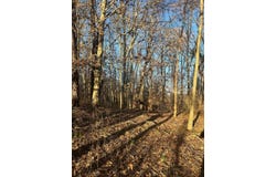 0 Tom Sharp Rd, Columbia, TN 38401