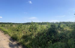 Mahogany Lane, Orangeburg, SC 29115
