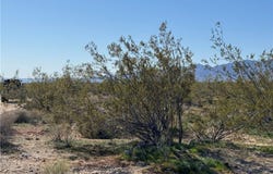 11074 Laguna Trail, Golden Valley, AZ 86413