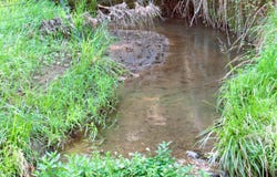 506 Peters Hollow Road, Monroe, VA 24574