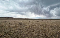 County Road 37, Nunn, CO 80648