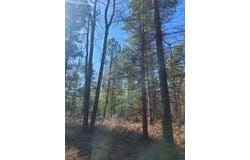 Beach Hwy, Ocqueoc, MI 49759