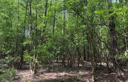 301C1, Brooklyn, MS 39425