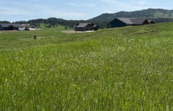 Lot 24 Park Avenue, Custer, SD 57730