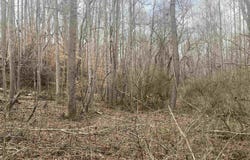 167 Rockingham Road, Duncan, SC 29334