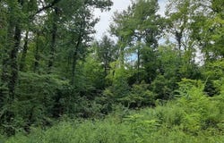 2036 Ridge Rd, Pigeon Forge, TN 37863