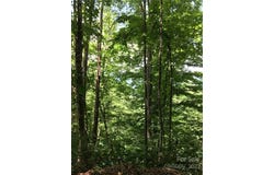 McGuires Ridge unit: 321-322, Waynesville, NC 28786