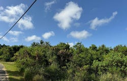 Membrillo, Camuy, PR 00627