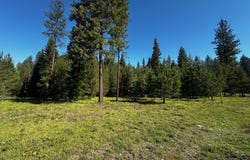 NHN Graves Creek Loop, Thompson Falls, MT 59873
