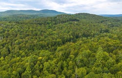 Pratt Bridge Road, Jamaica, VT 05143