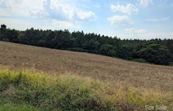 1455 Blonnie Ross Road, Polkton, NC 28135