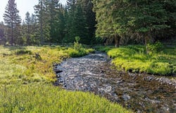 569/571 Cinnabar Basin Road, Gardiner, MT 59030