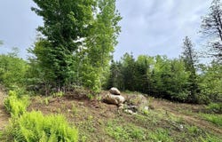 Lot 10 Mt. Jefferson Heights, Lee, ME 04455